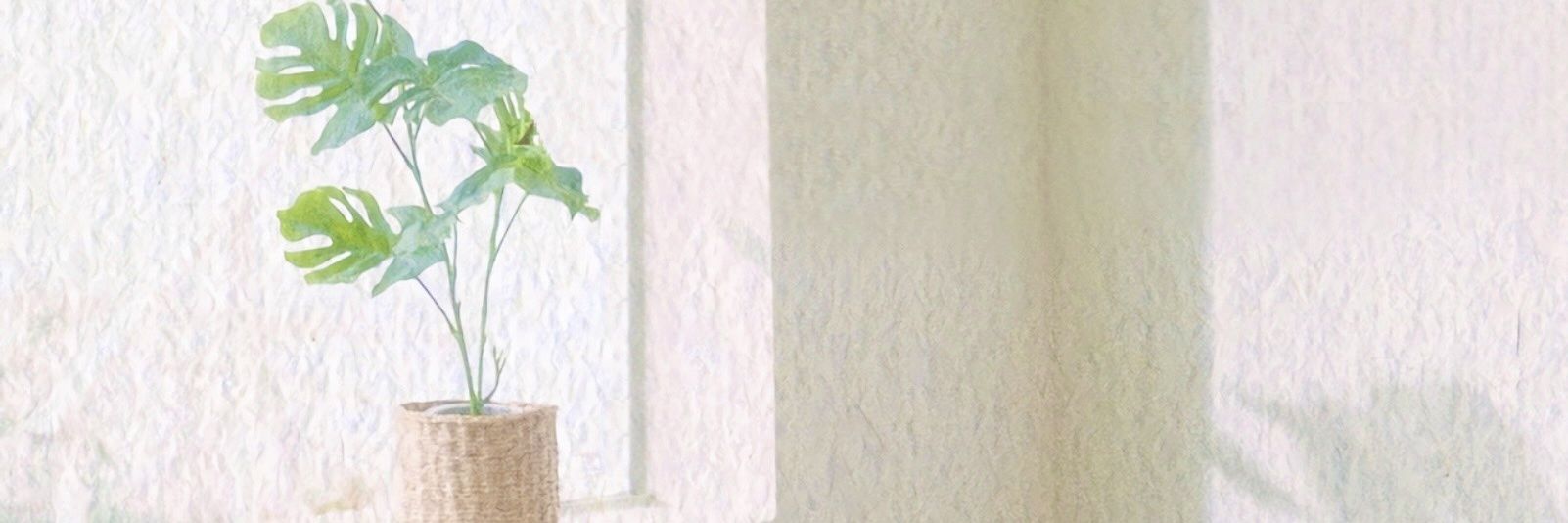 anotherica's profile banner image