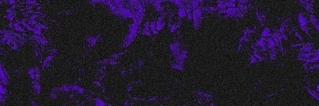 TylerIsSour banner