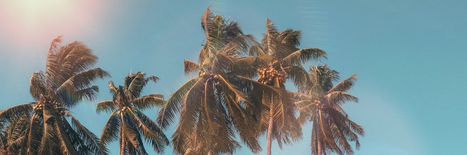 arizonaa__'s profile banner image