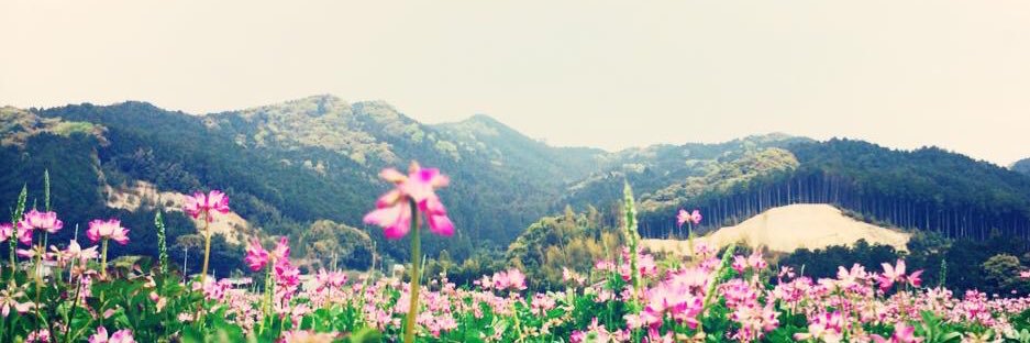 coque_n's profile banner image