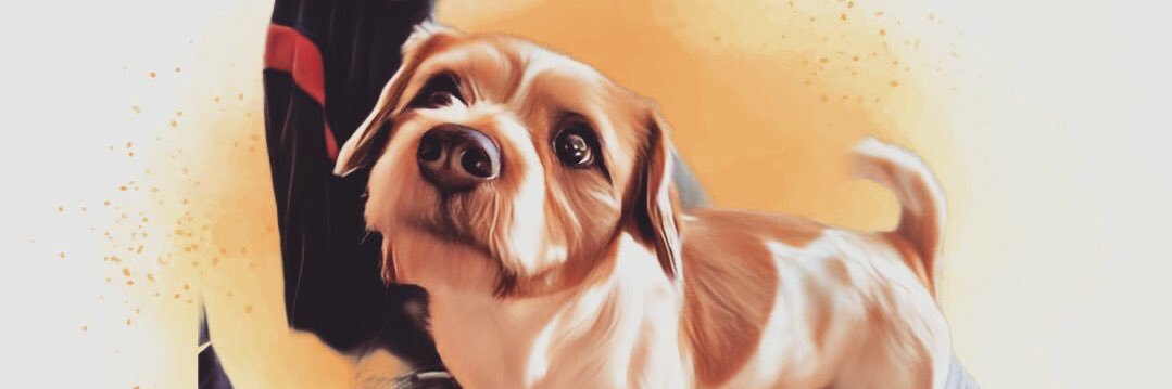 LacePaige's profile banner image