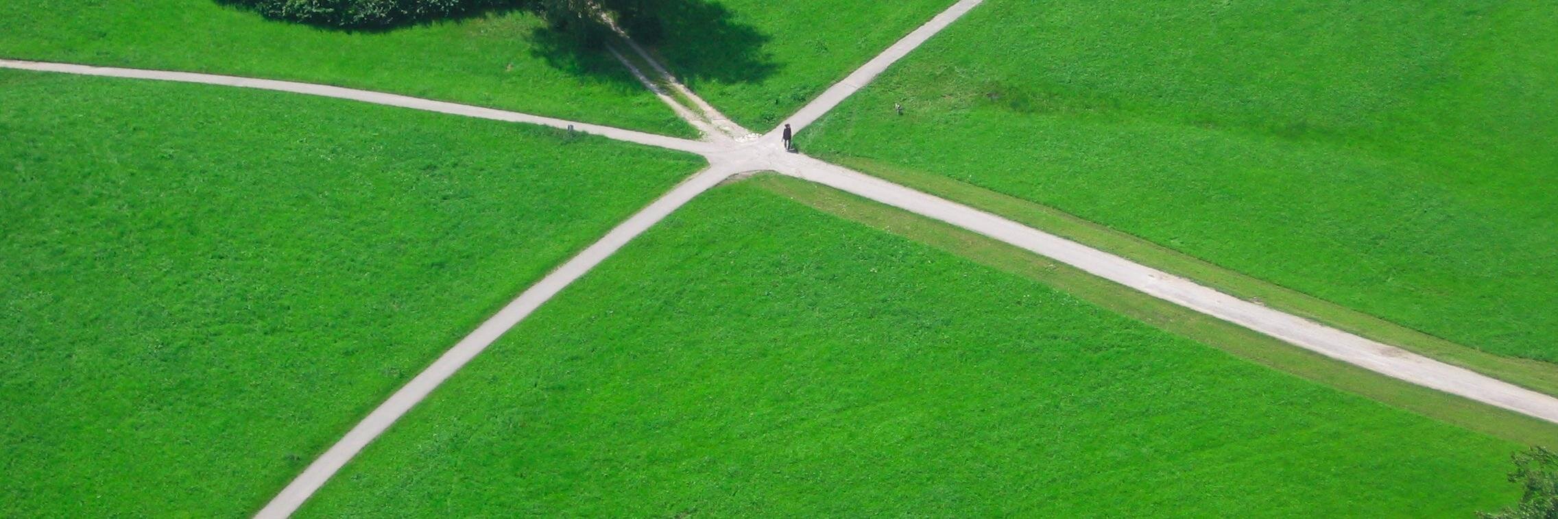 Alessandra Palidda banner