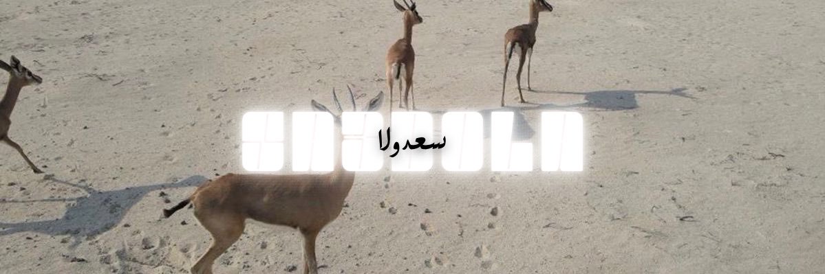 يوسف  banner