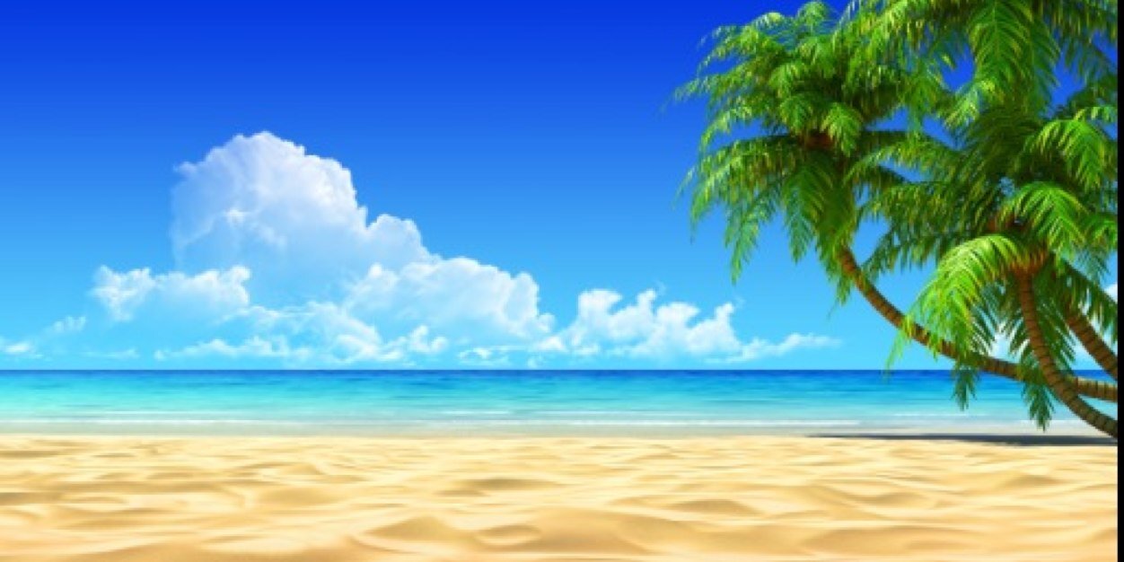 MaggieFinke's profile banner image