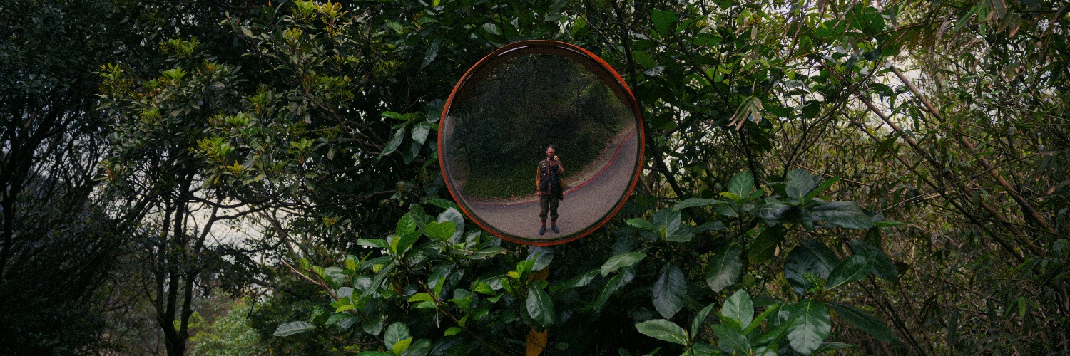 Aleifr banner