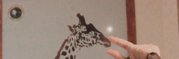 ayudnhs's profile banner image