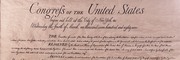 The Second Amendment Profile Banner