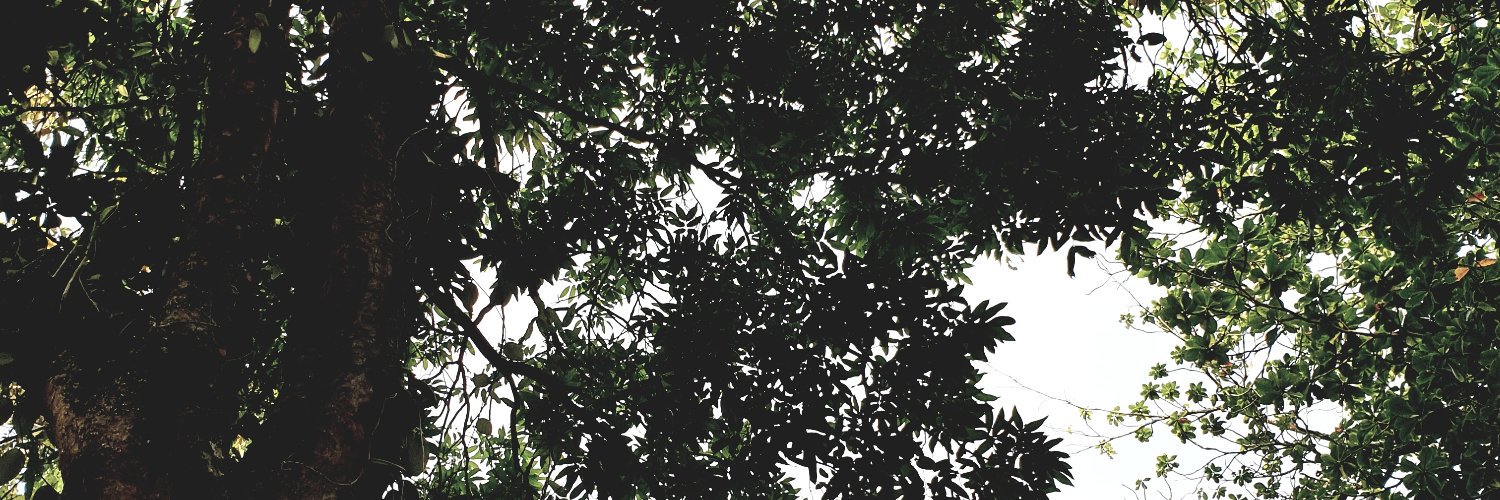 naiboy's profile banner image