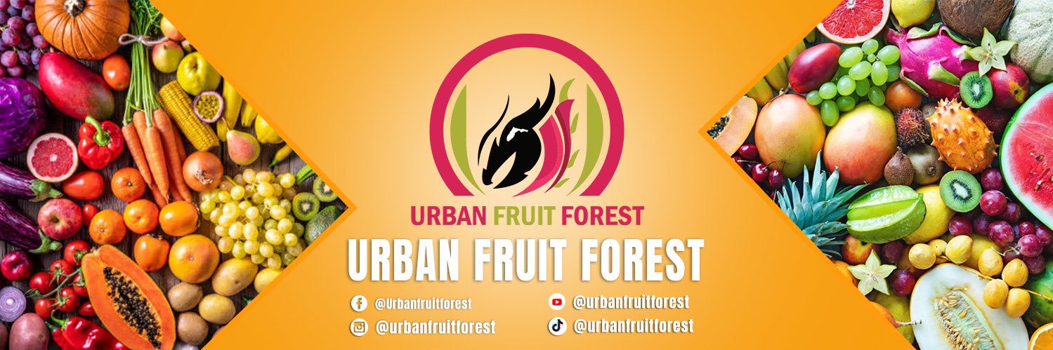 fruitforestfarm's profile banner image