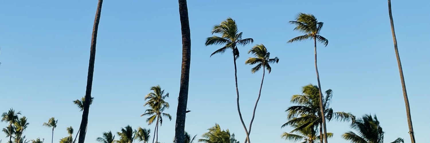 vicentsna's profile banner image