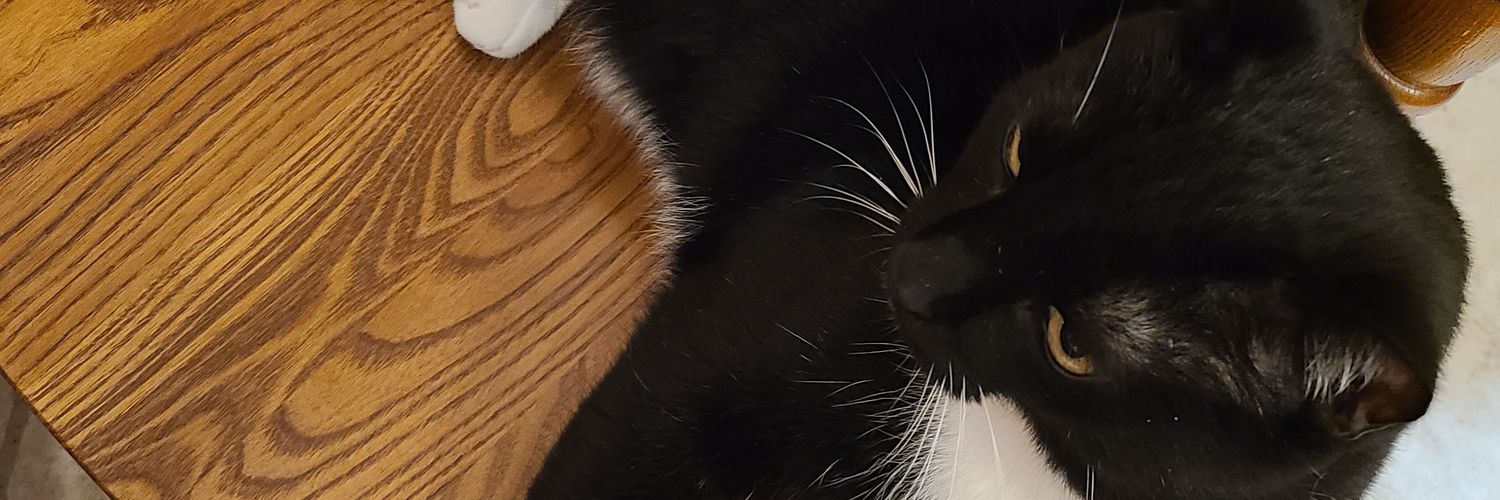 Kathy1208's profile banner image