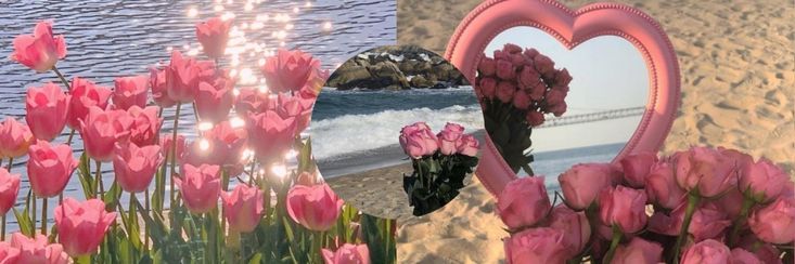 seolapen's profile banner image