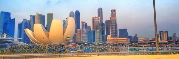 linsd Profile Banner