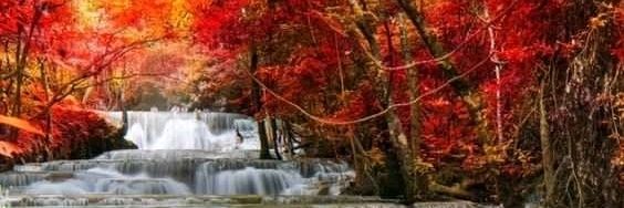 olummymoses's profile banner image