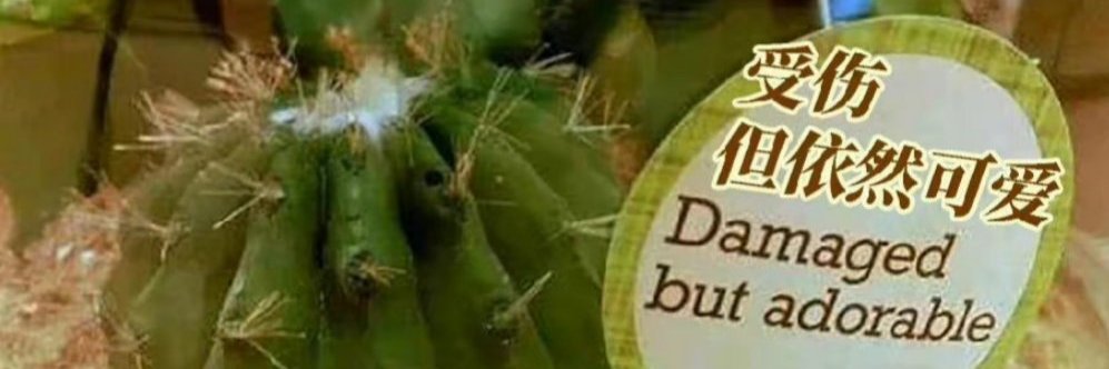 DNight624's profile banner image