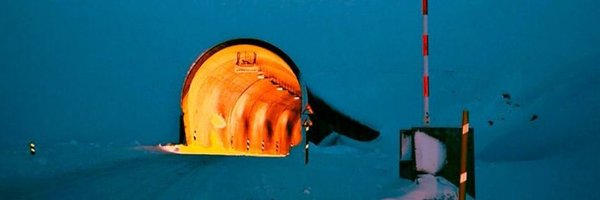 _Acelga_ Profile Banner