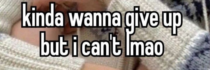 ˗ˏˋ zie ´ˎ˗ banner