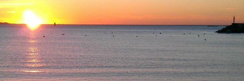 Quinteiro Malvido banner