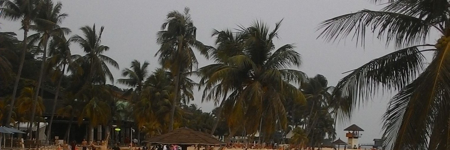 HelmiDhory's profile banner image