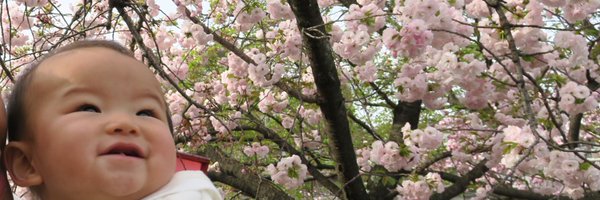 yutansansei Profile Banner
