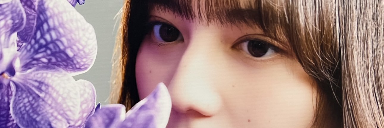 灰猫◢ ￨⁴⁶ 🦖🥜🌈 🌸 🍃🤡 banner