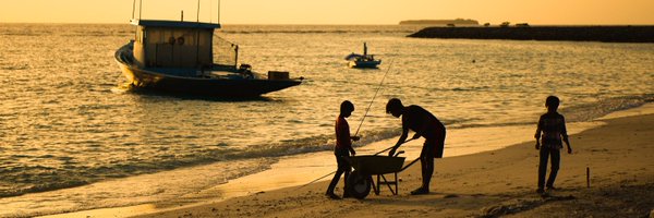 ali solih Profile Banner