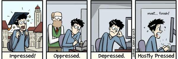 The Wacky Scholar🦠🧪🙃 banner