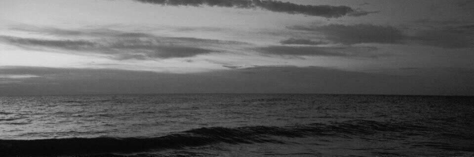 beryl ◡̈ ༘ * {turtle mode🐢 slow to rest} banner