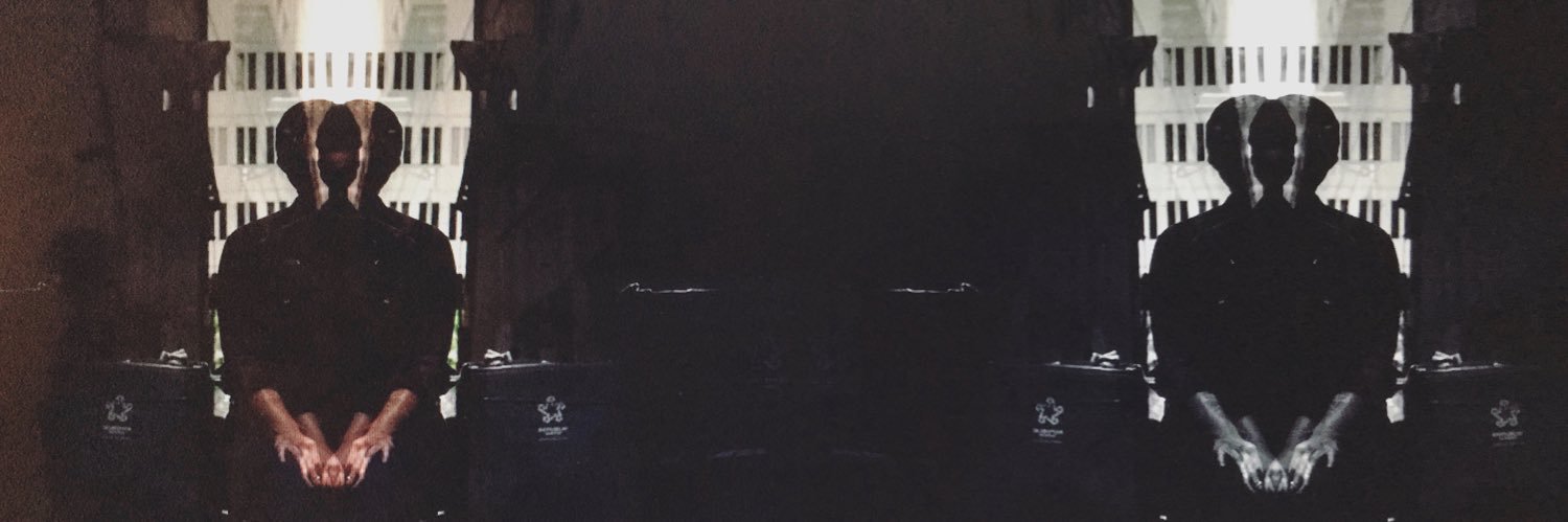 SofieCuidon's profile banner image