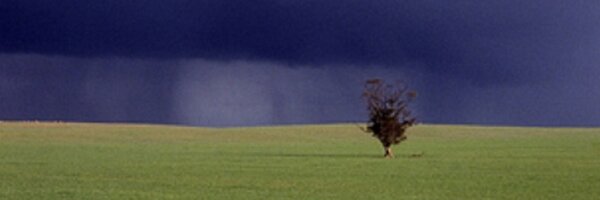 ms_sbray Profile Banner