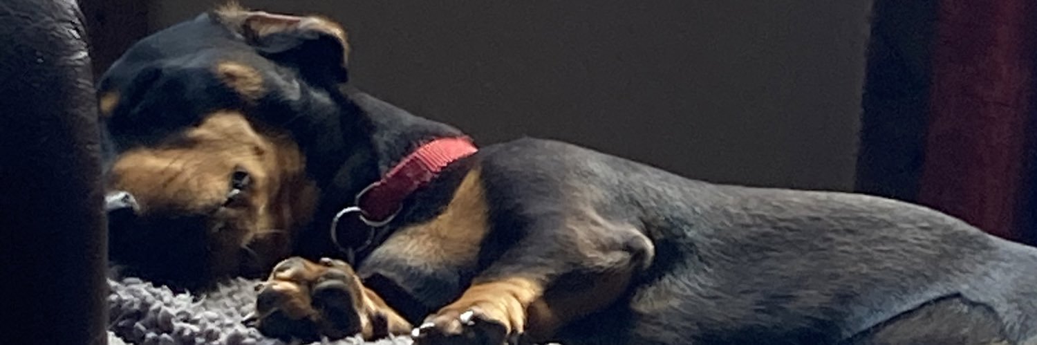 The Obsessive Bookworm banner