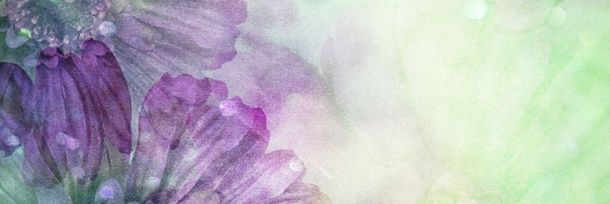 Valeria_D's profile banner image