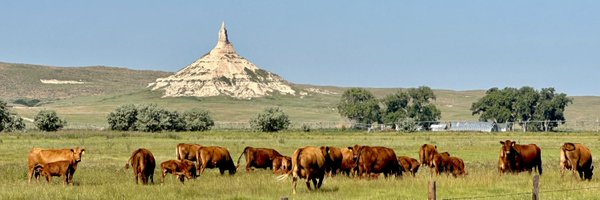 JGWeaverNE Profile Banner