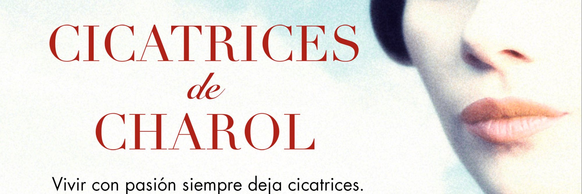 bertapichel's profile banner image