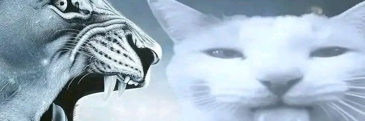 ︎︎ kathya banner