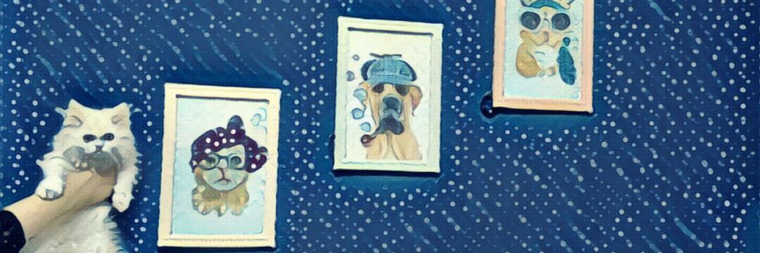 RaneemElsayed11's profile banner image