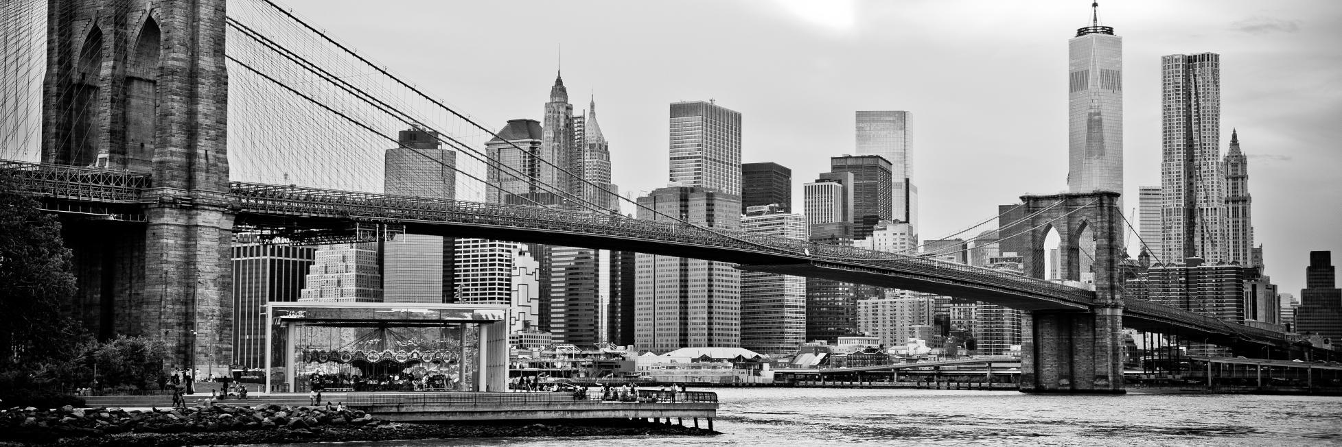 stippich's profile banner image