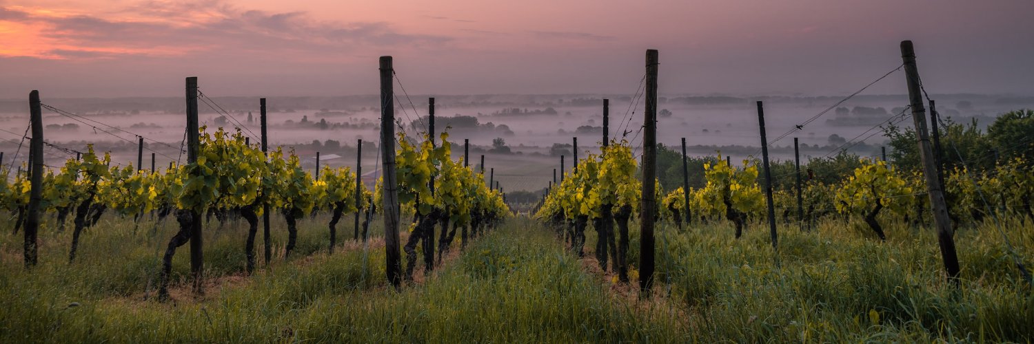 Pro_GmoCommune banner