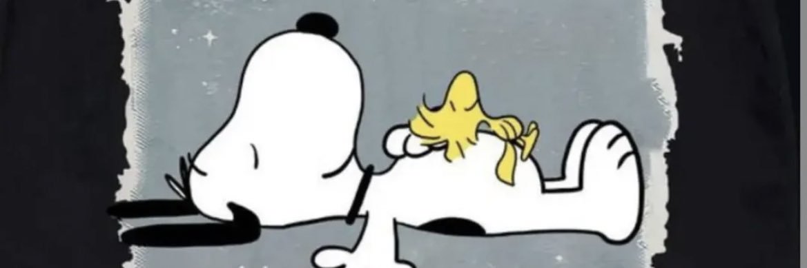 RandallWing3's profile banner image