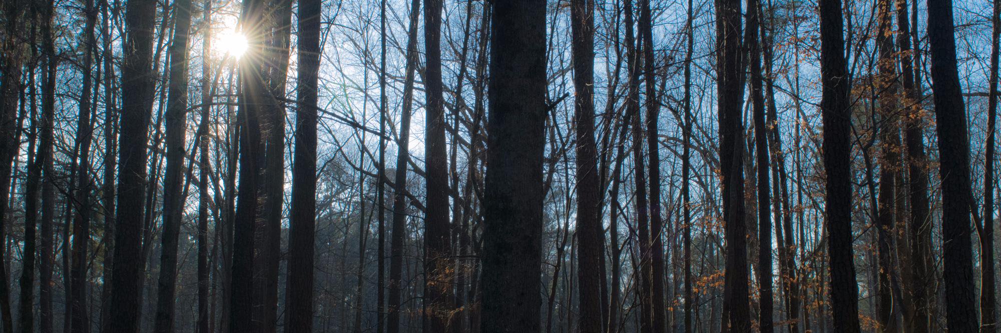 kjudge's profile banner image