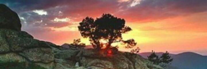 Victoria_G_Rose's profile banner image