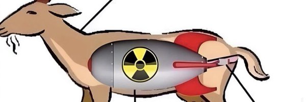 KabKab68863331 Profile Banner