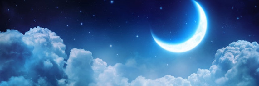 Lizard_Wizard98's profile banner image