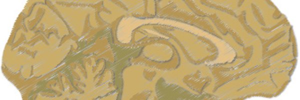 TheColeLab Profile Banner
