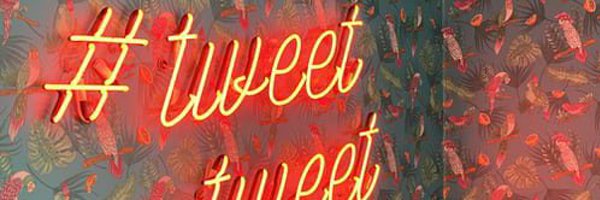 VinP0706 Profile Banner