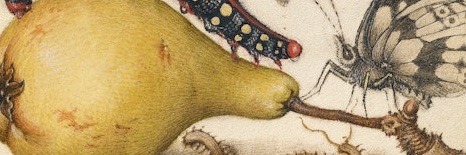 WillCookMiller's profile banner image