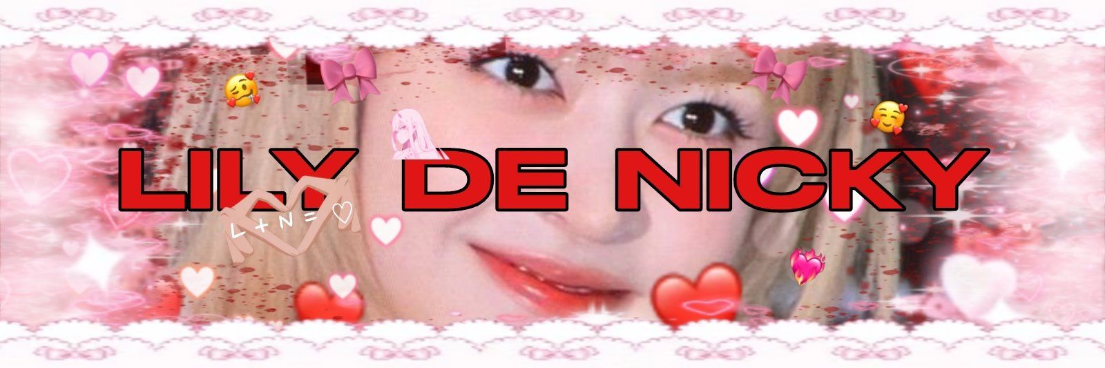 nicky | closed banner