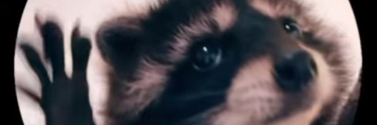Drumstick banner