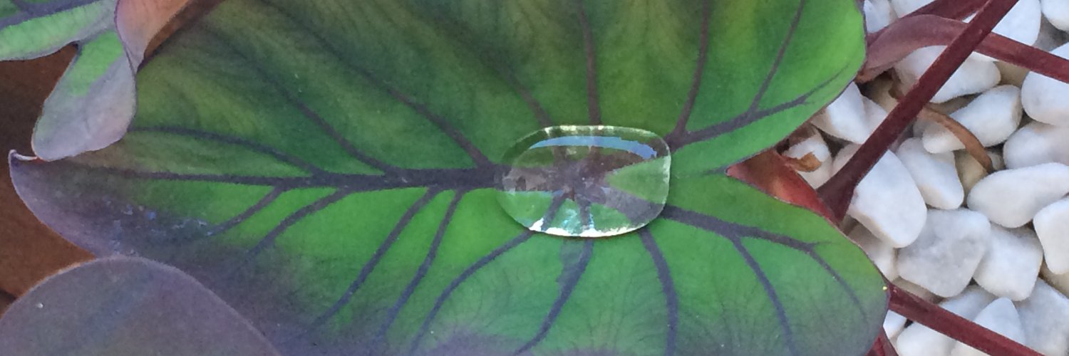 Ghost_Zorg's profile banner image