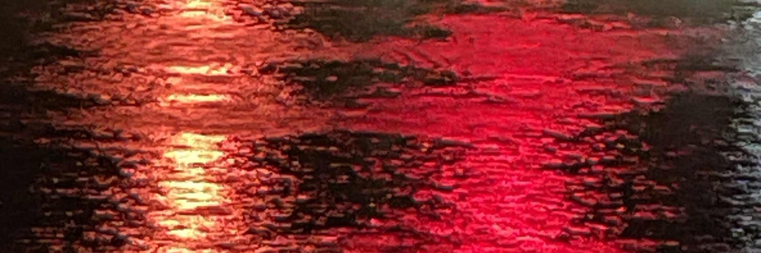 caution_kaution's profile banner image